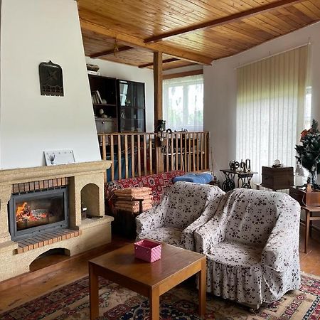 Casa Adelina Villa Valea Lunga-Cricov Kültér fotó