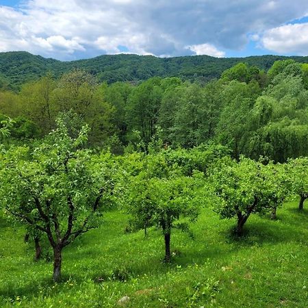 Casa Adelina Villa Valea Lunga-Cricov Kültér fotó