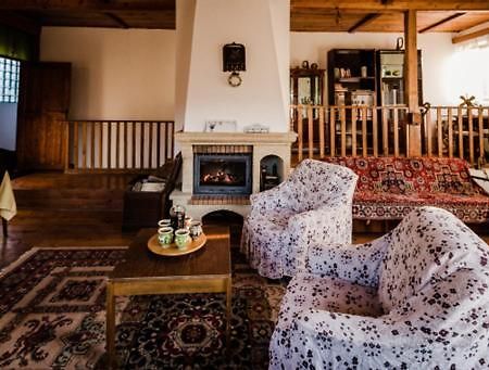 Casa Adelina Villa Valea Lunga-Cricov Kültér fotó