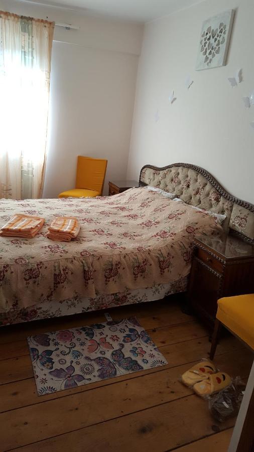 Casa Adelina Villa Valea Lunga-Cricov Kültér fotó