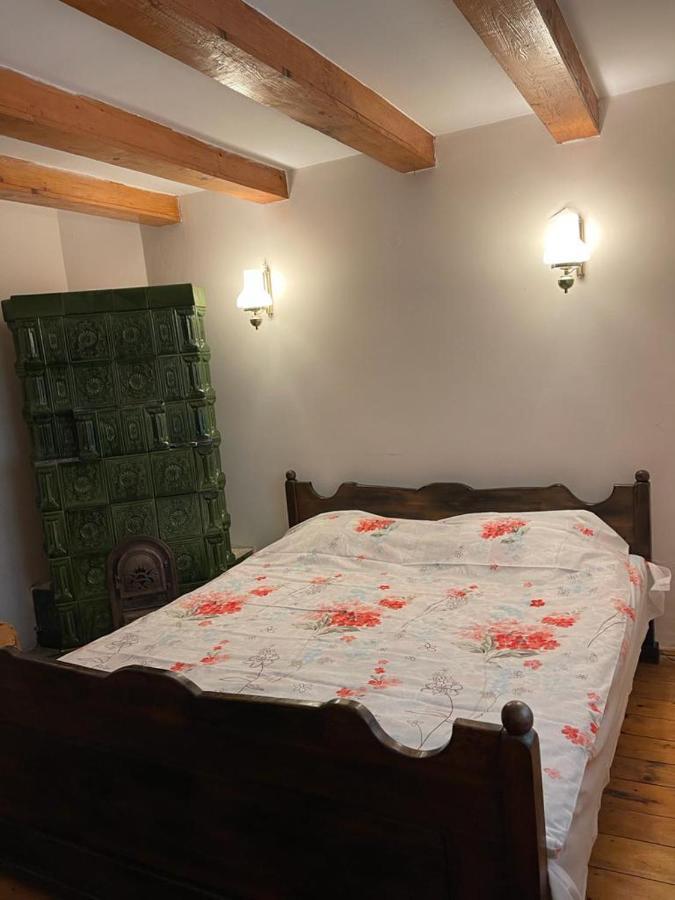 Casa Adelina Villa Valea Lunga-Cricov Kültér fotó