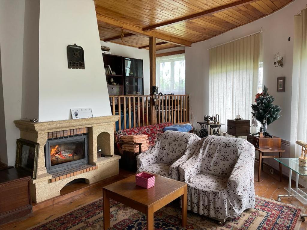 Casa Adelina Villa Valea Lunga-Cricov Kültér fotó