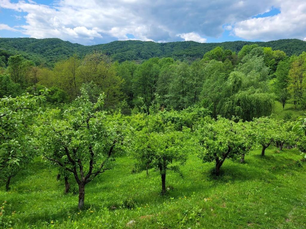 Casa Adelina Villa Valea Lunga-Cricov Kültér fotó