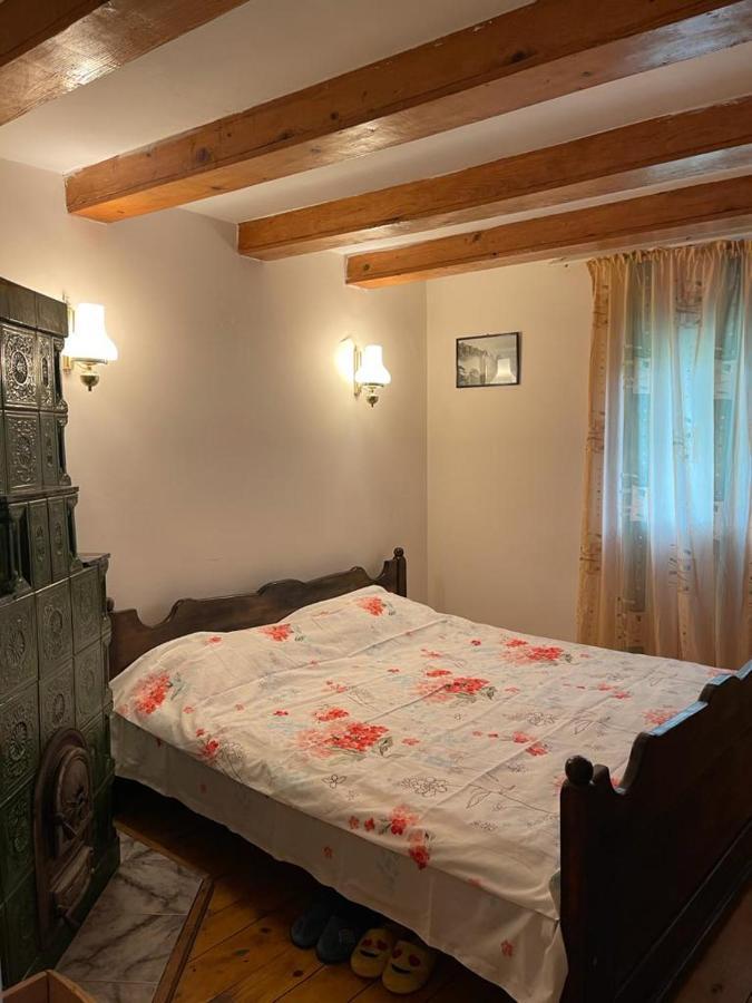 Casa Adelina Villa Valea Lunga-Cricov Kültér fotó