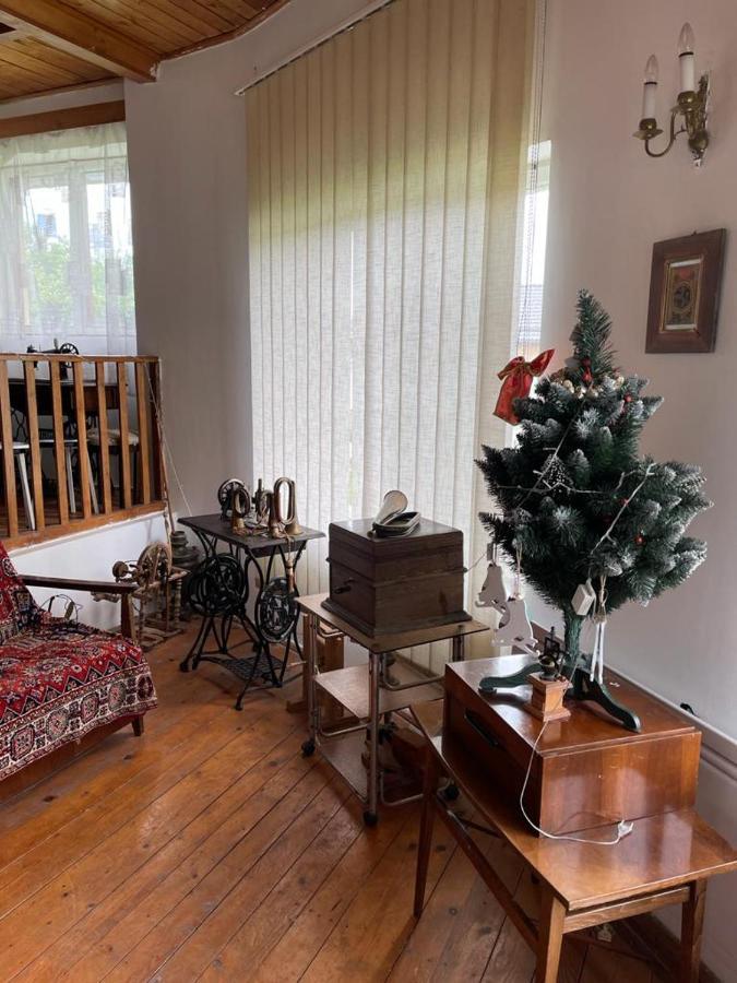 Casa Adelina Villa Valea Lunga-Cricov Kültér fotó