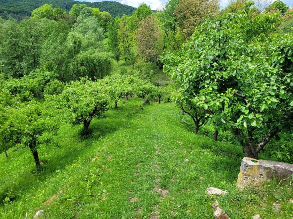 Casa Adelina Villa Valea Lunga-Cricov Kültér fotó