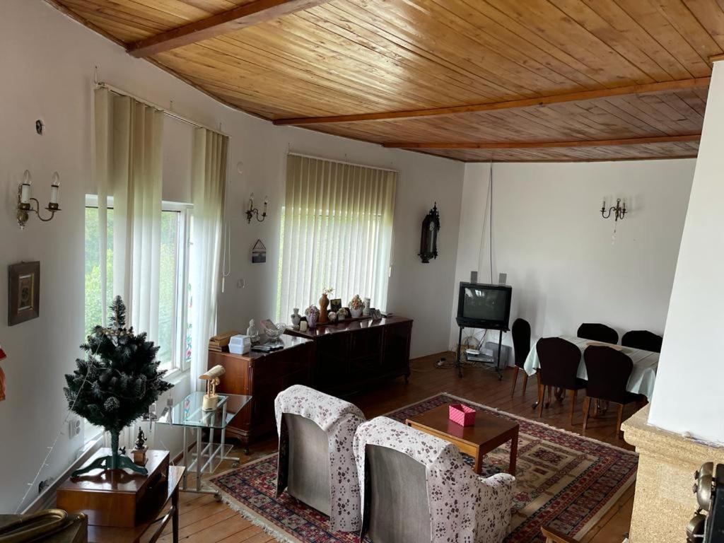 Casa Adelina Villa Valea Lunga-Cricov Kültér fotó