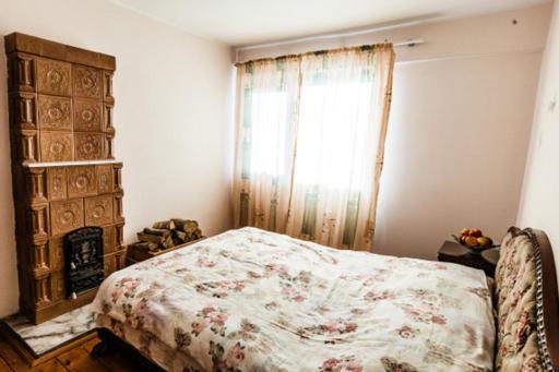 Casa Adelina Villa Valea Lunga-Cricov Kültér fotó