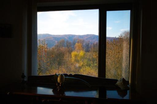 Casa Adelina Villa Valea Lunga-Cricov Kültér fotó