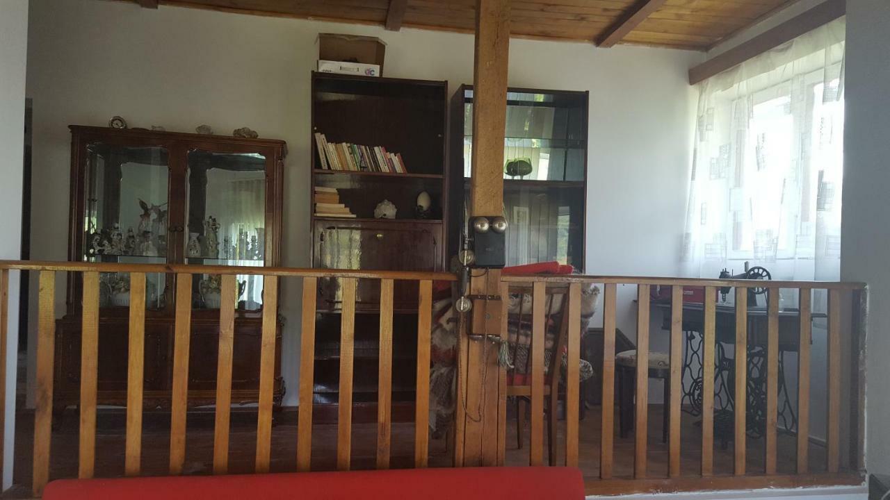 Casa Adelina Villa Valea Lunga-Cricov Kültér fotó