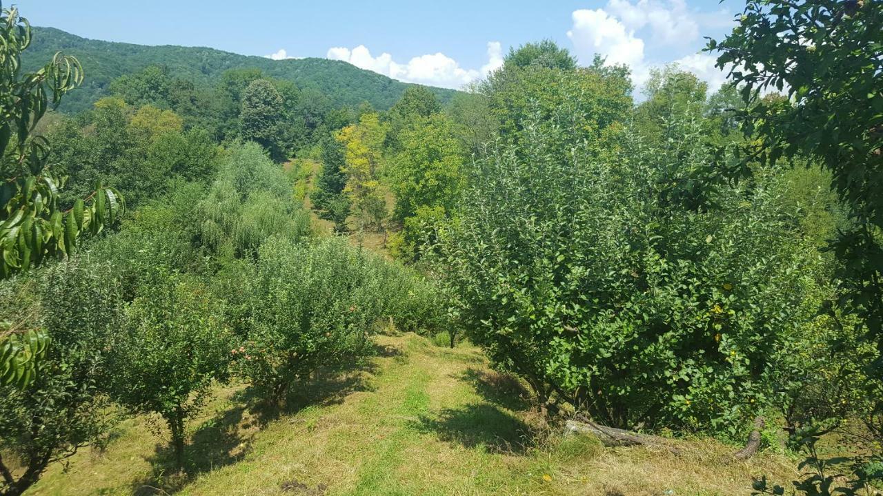 Casa Adelina Villa Valea Lunga-Cricov Kültér fotó